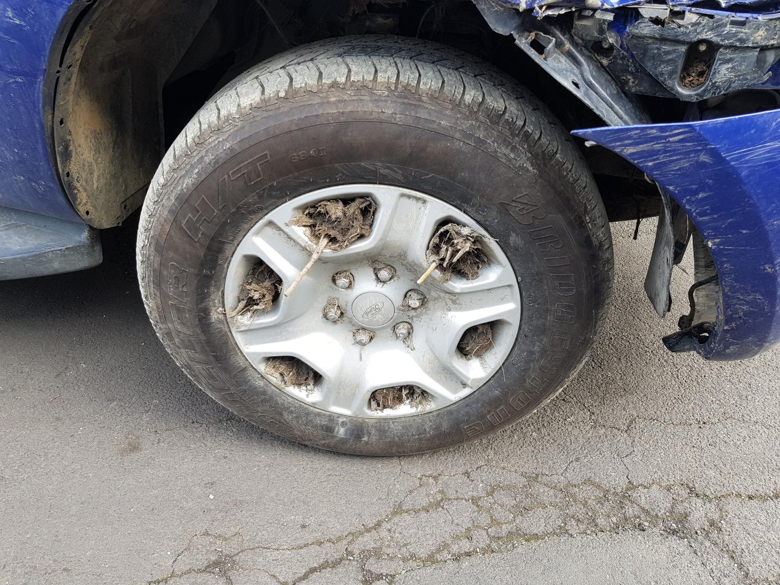 Ford Ranger - PX/PX2 2011-2017