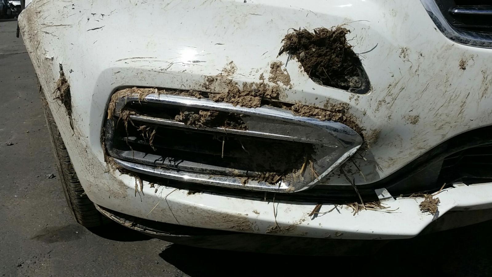 Holden Cruze - 2009-Present