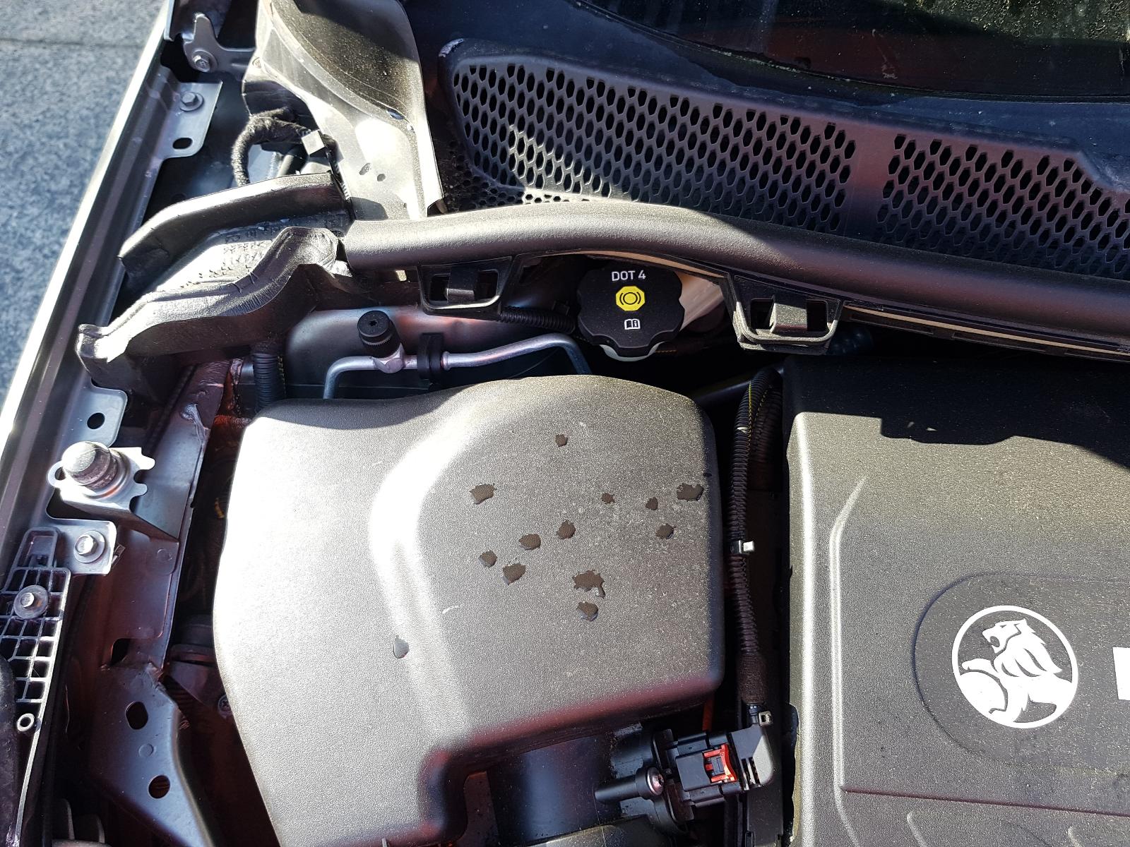 Holden Astra - J 2009-Present