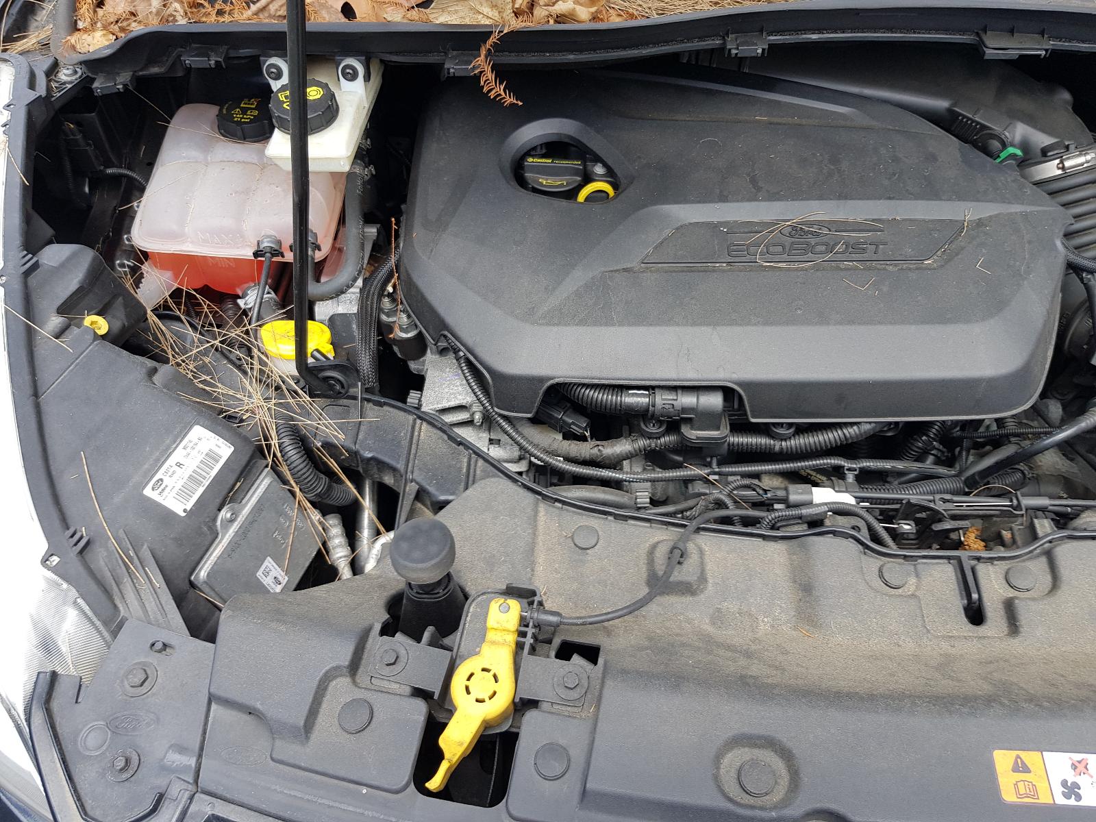 Ford Kuga - TF 2013-Present