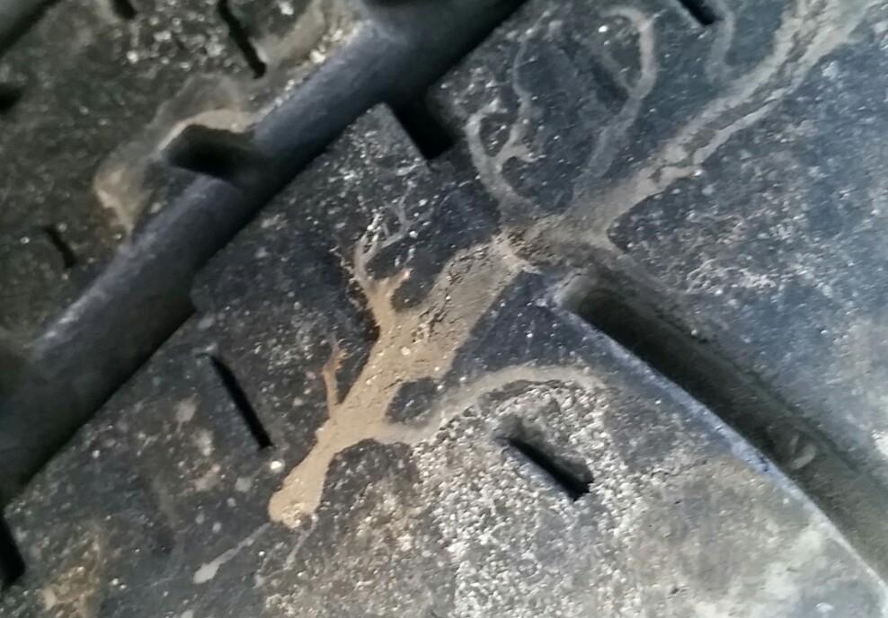 Holden Captiva - Captiva 5 2006-2011