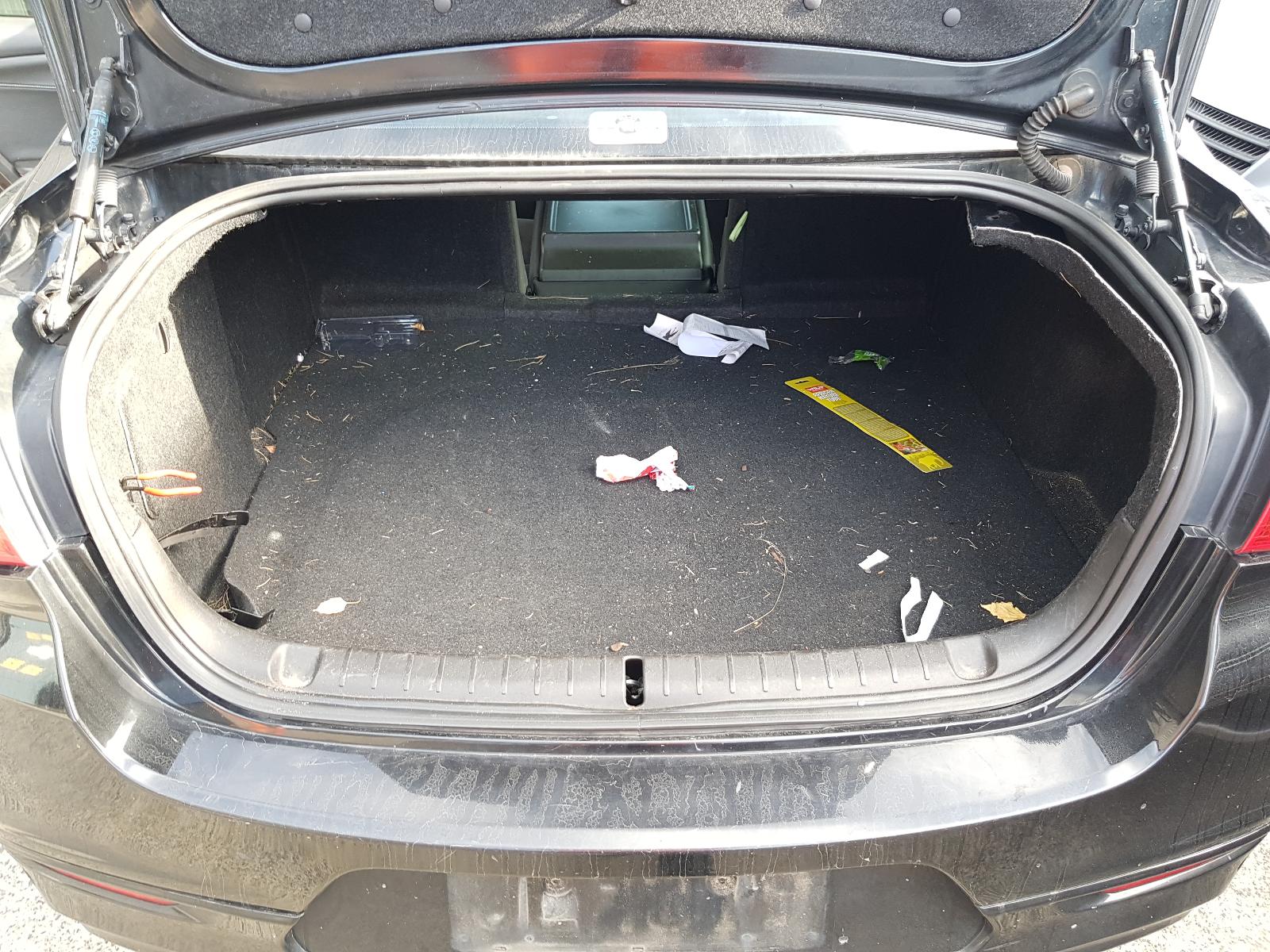 Holden Commodore - VF 2013-Present