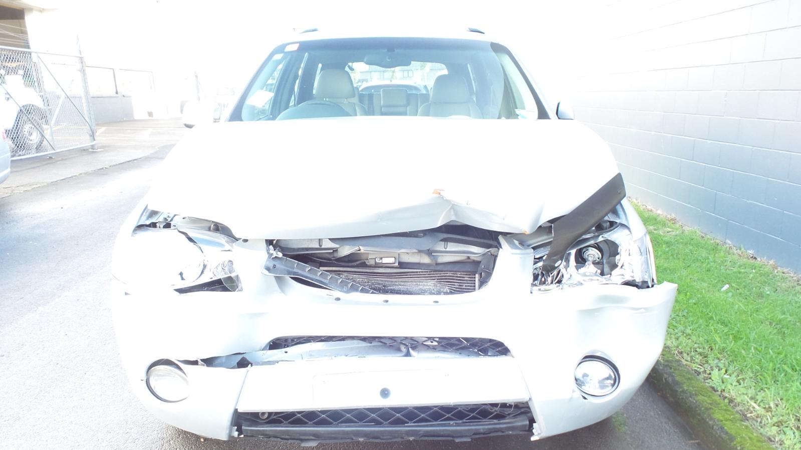 Ford Territory - SX 2004-2005