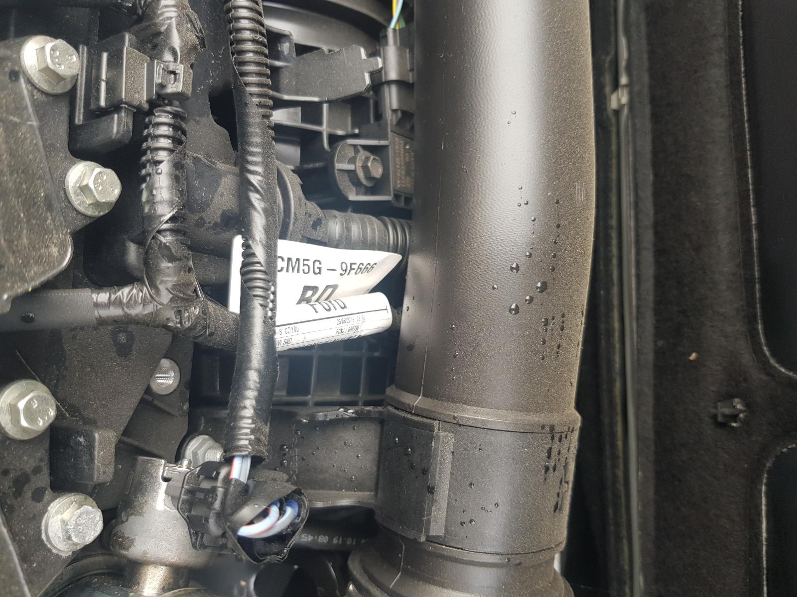 Ford EcoSport - BW 2013-present