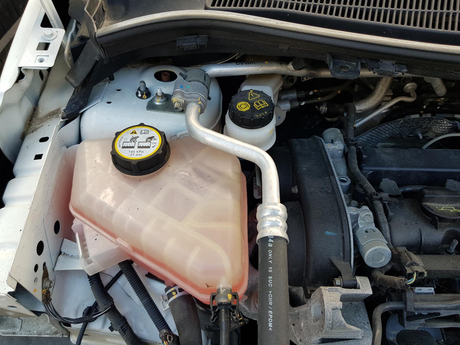 Ford Fiesta - MK VI 2008-Present