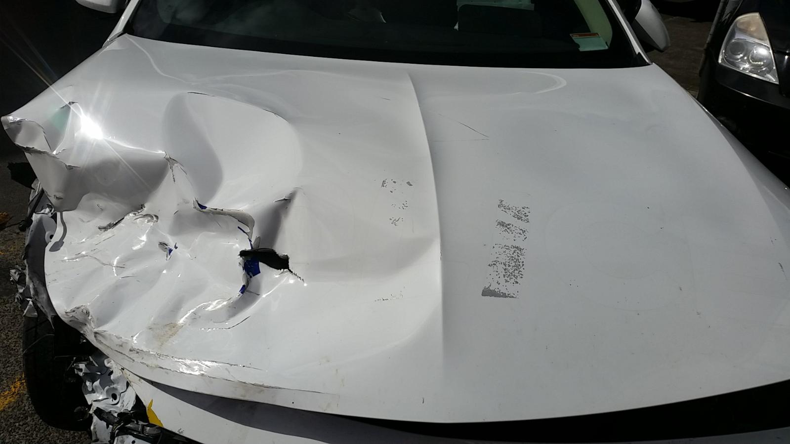 Holden Commodore - Other