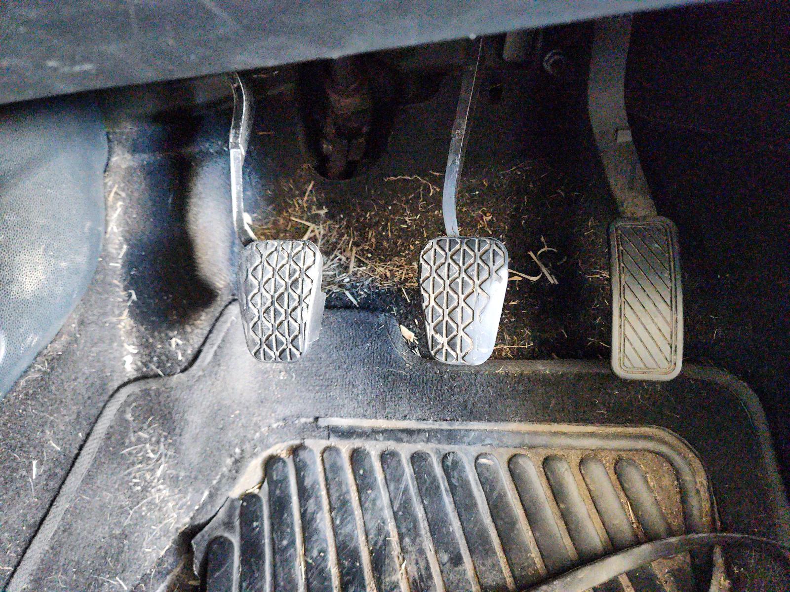 Ford Fiesta - MK VI 2008-Present