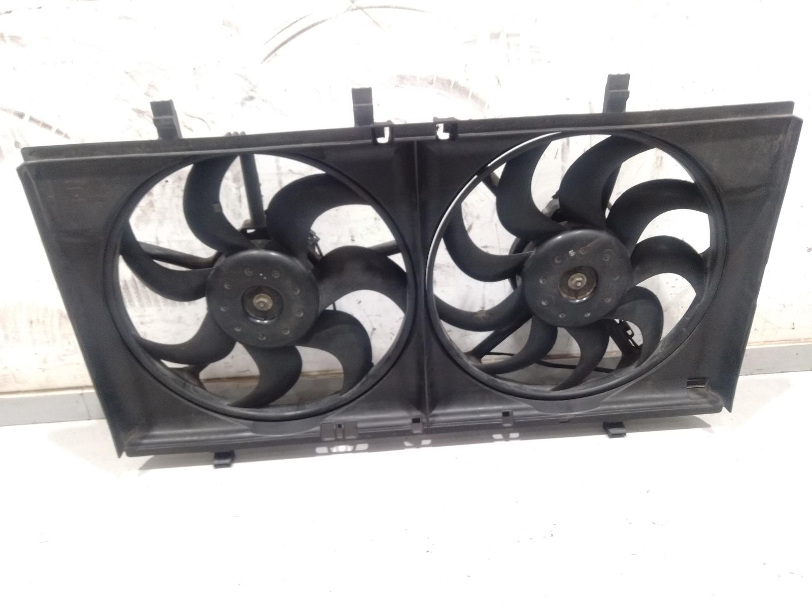 Fan