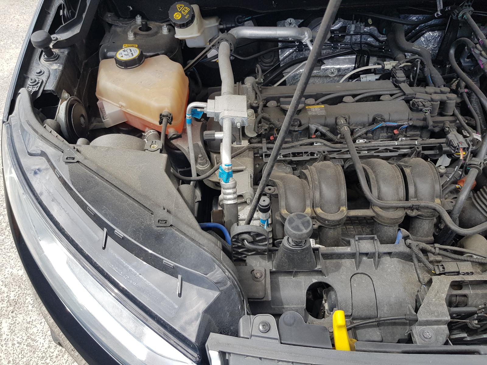 Ford EcoSport - BW 2013-present