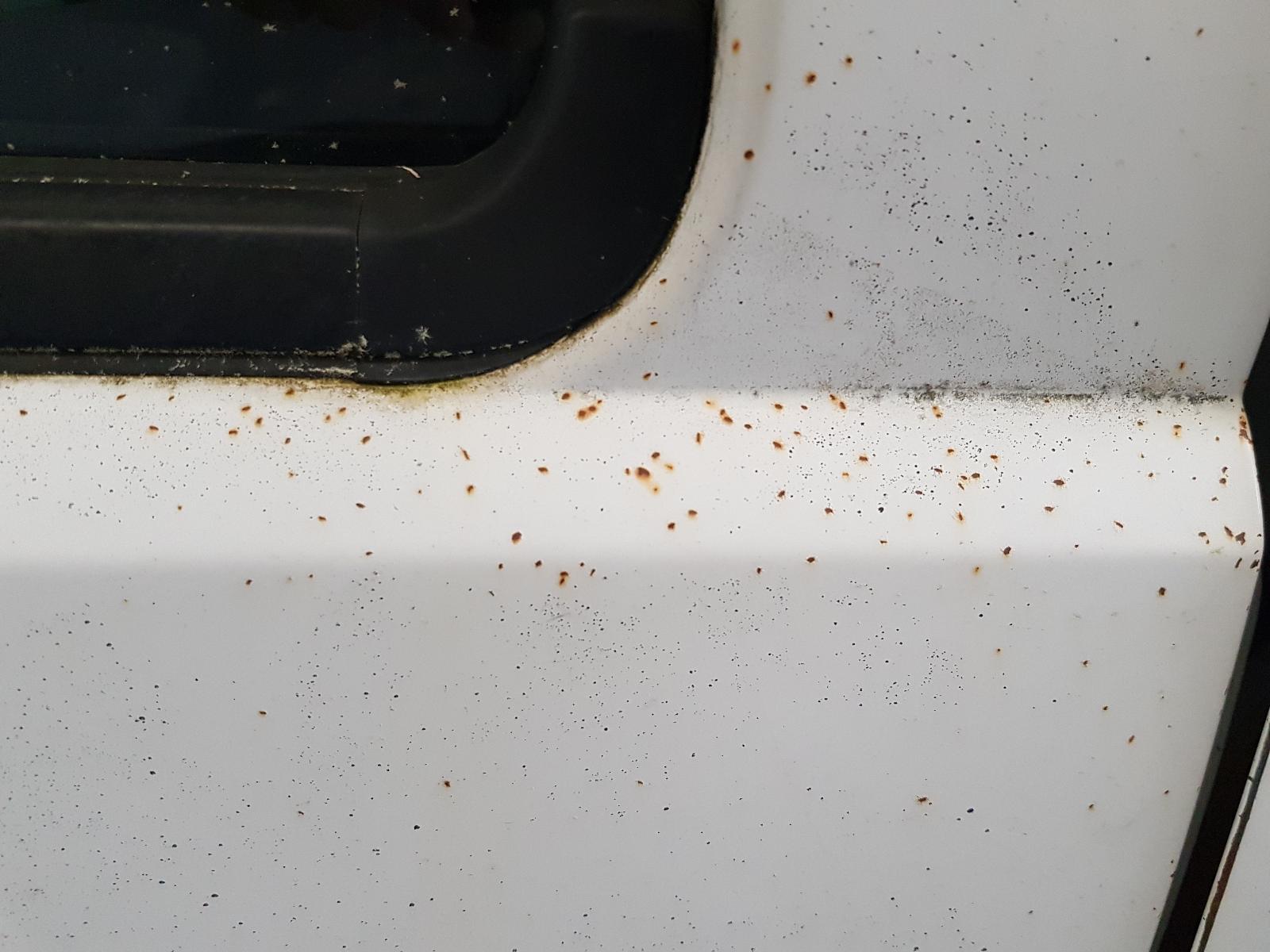 Ford Ranger - PK 2009-2011