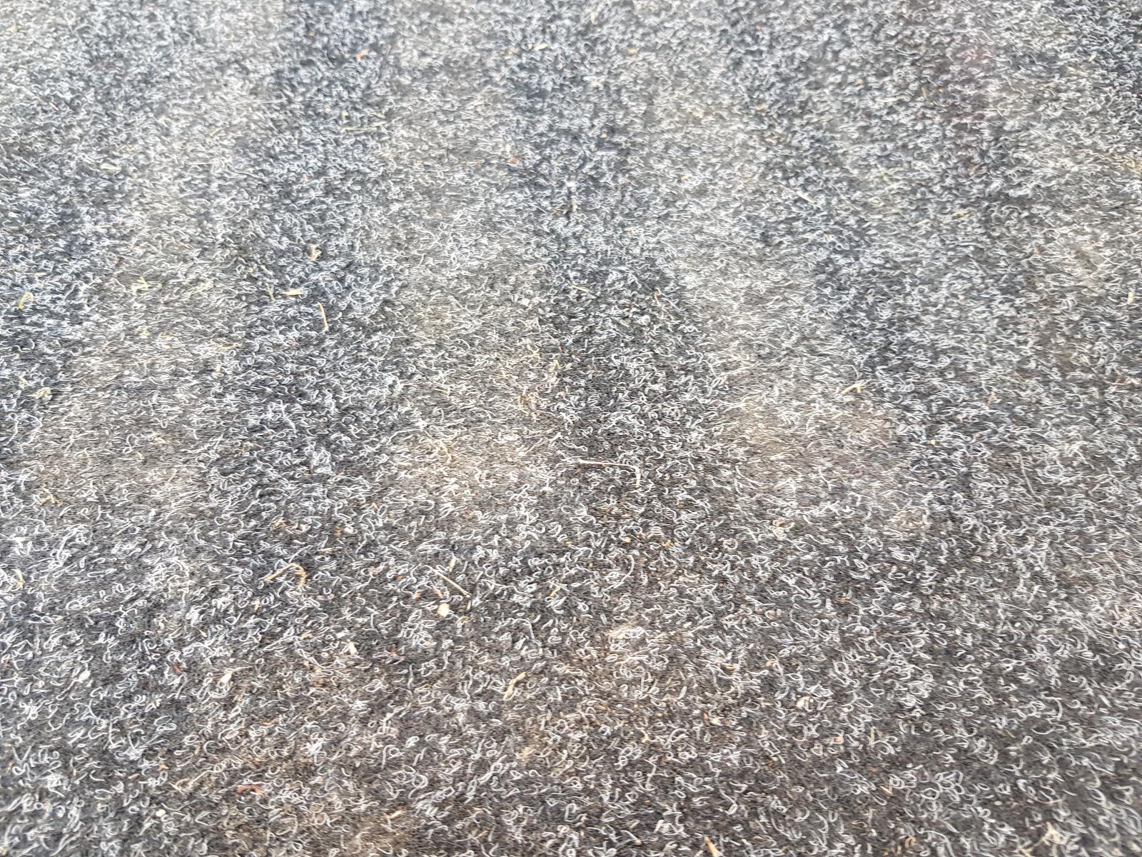 Ford Ranger - PX/PX2 2011-2017