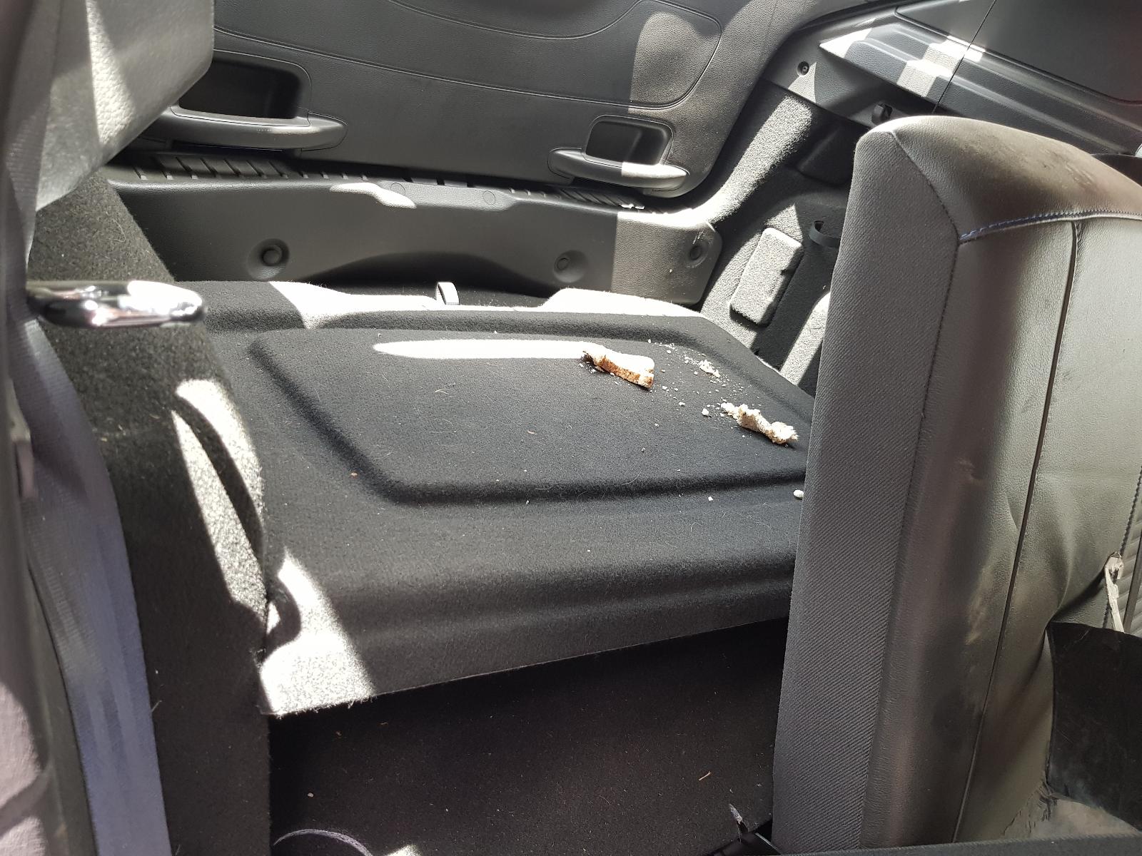 Ford Focus - LZ 2015-2017