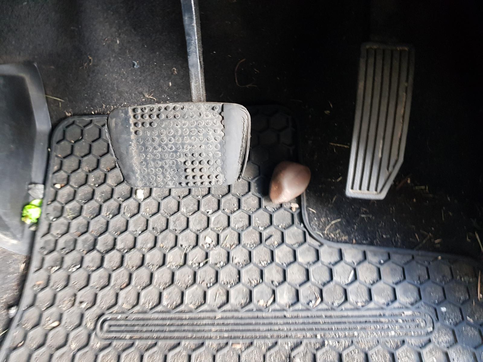 Holden Colorado - RG2 2016-Present