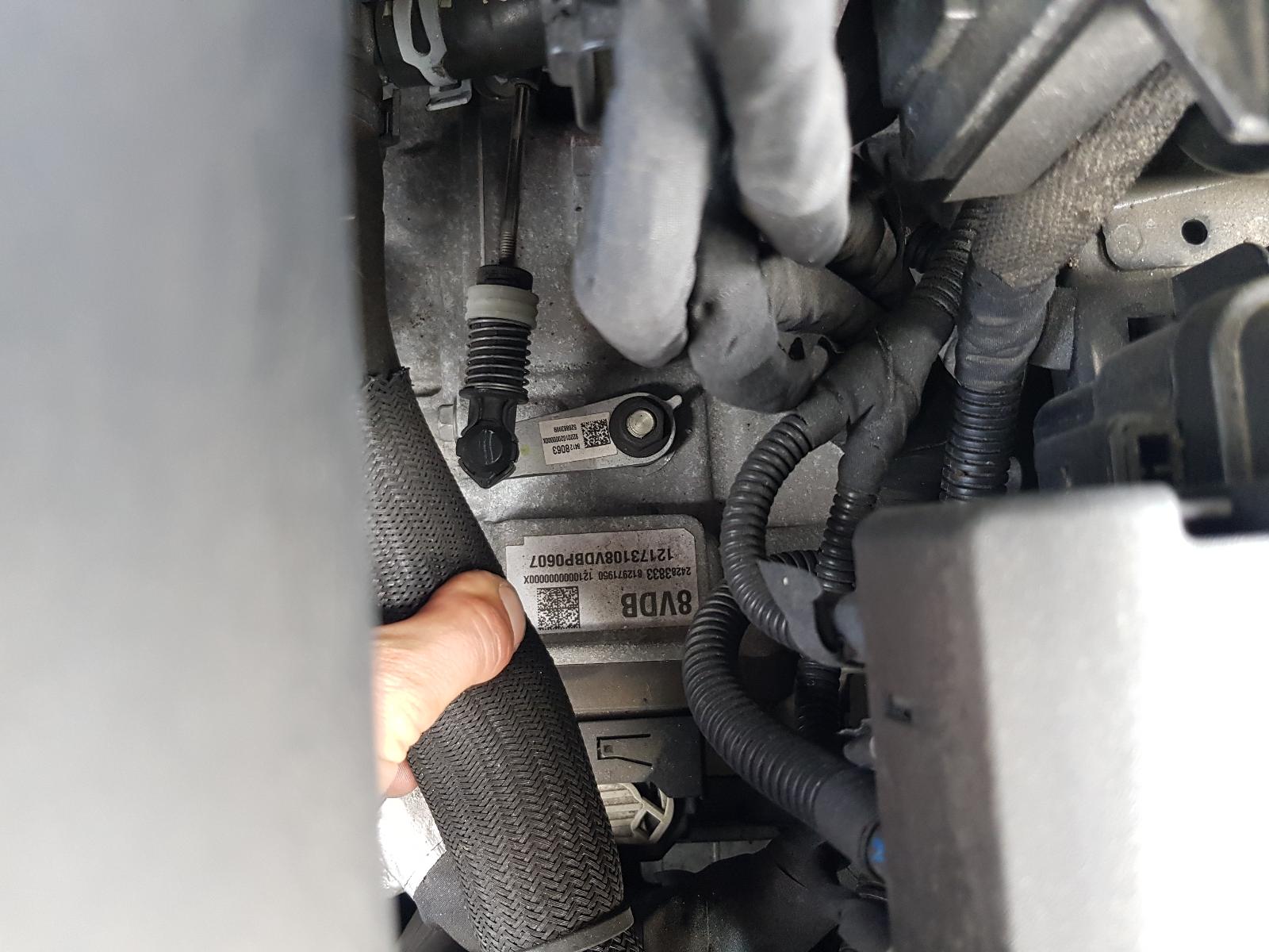 Holden Equipe - Other