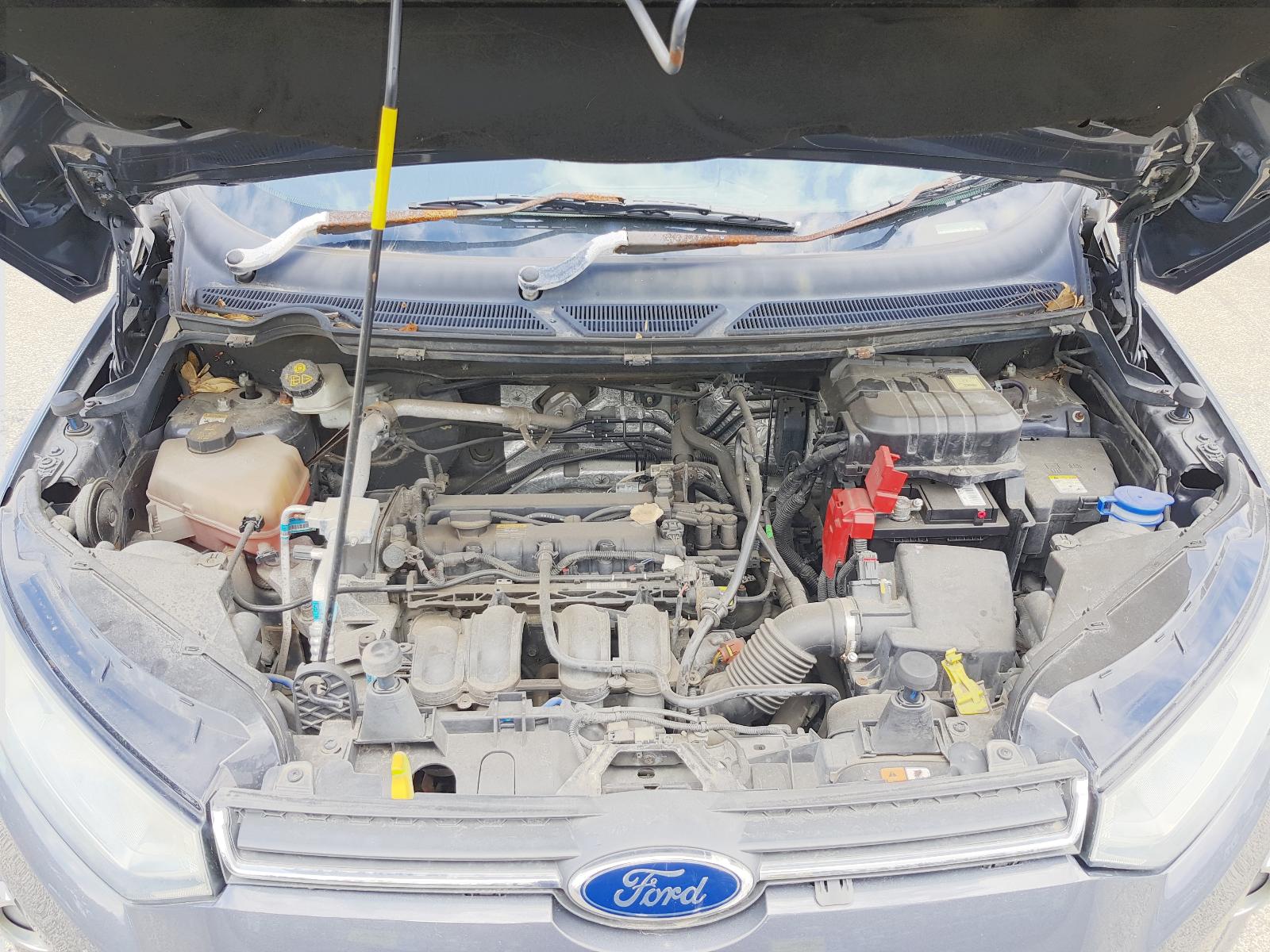 Ford EcoSport - BW 2013-present