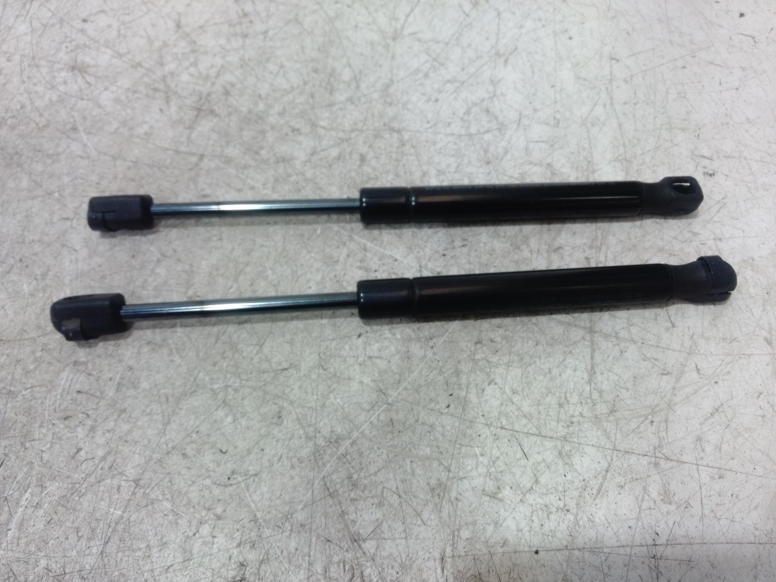Hatch Strut