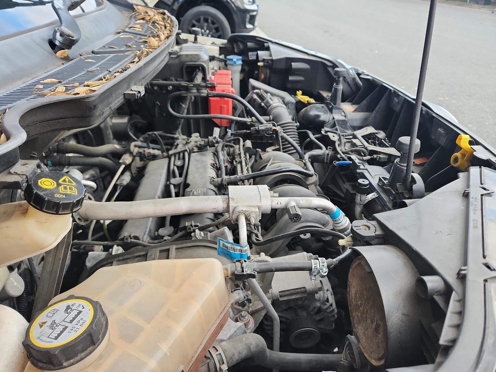 Ford EcoSport - BW 2013-present