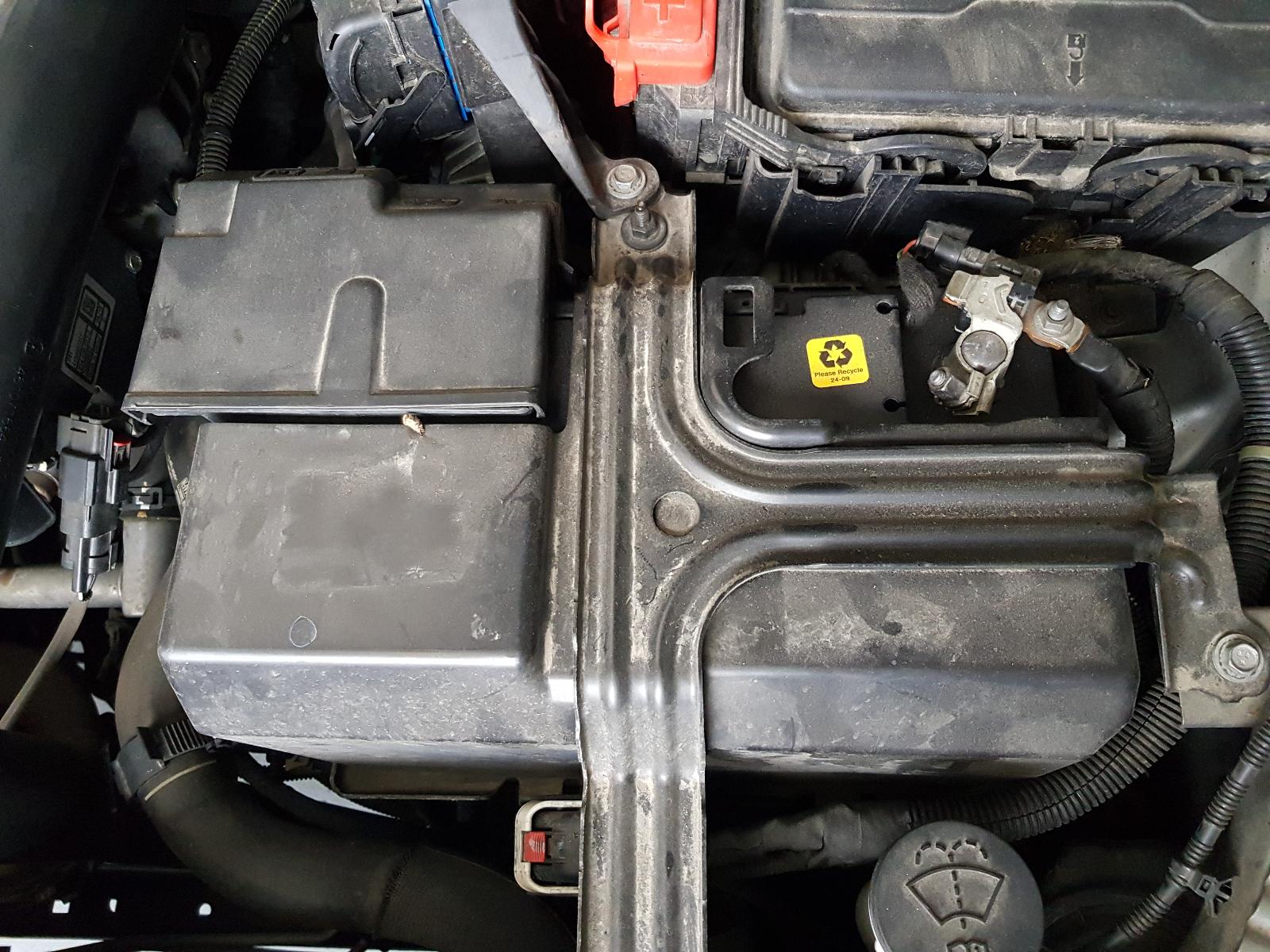 Holden Commodore - Other