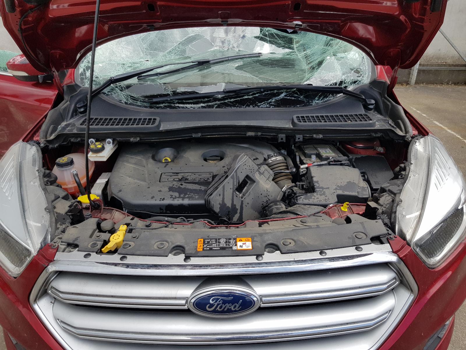 Ford Escape - LF 2007-Present