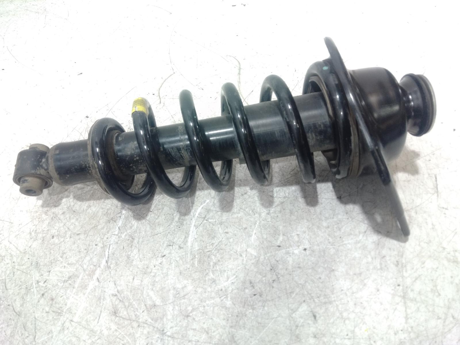 Right Rear Strut