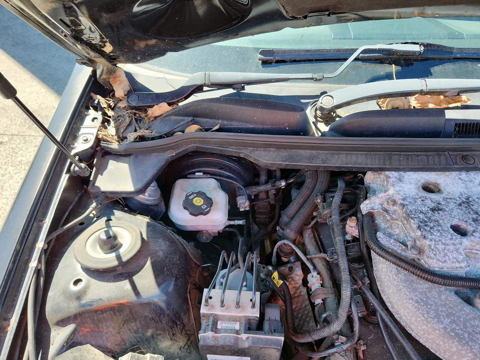 Holden Commodore - VE 2006-2013