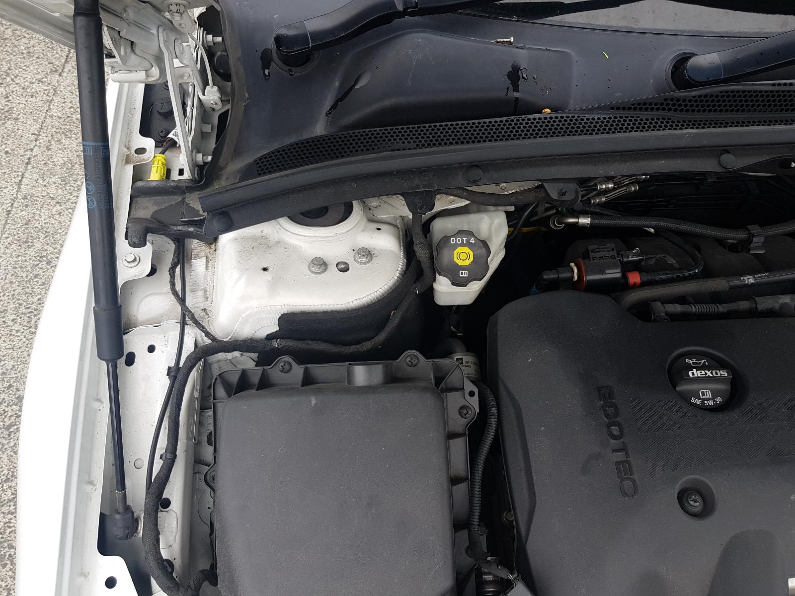 Holden Commodore - Other