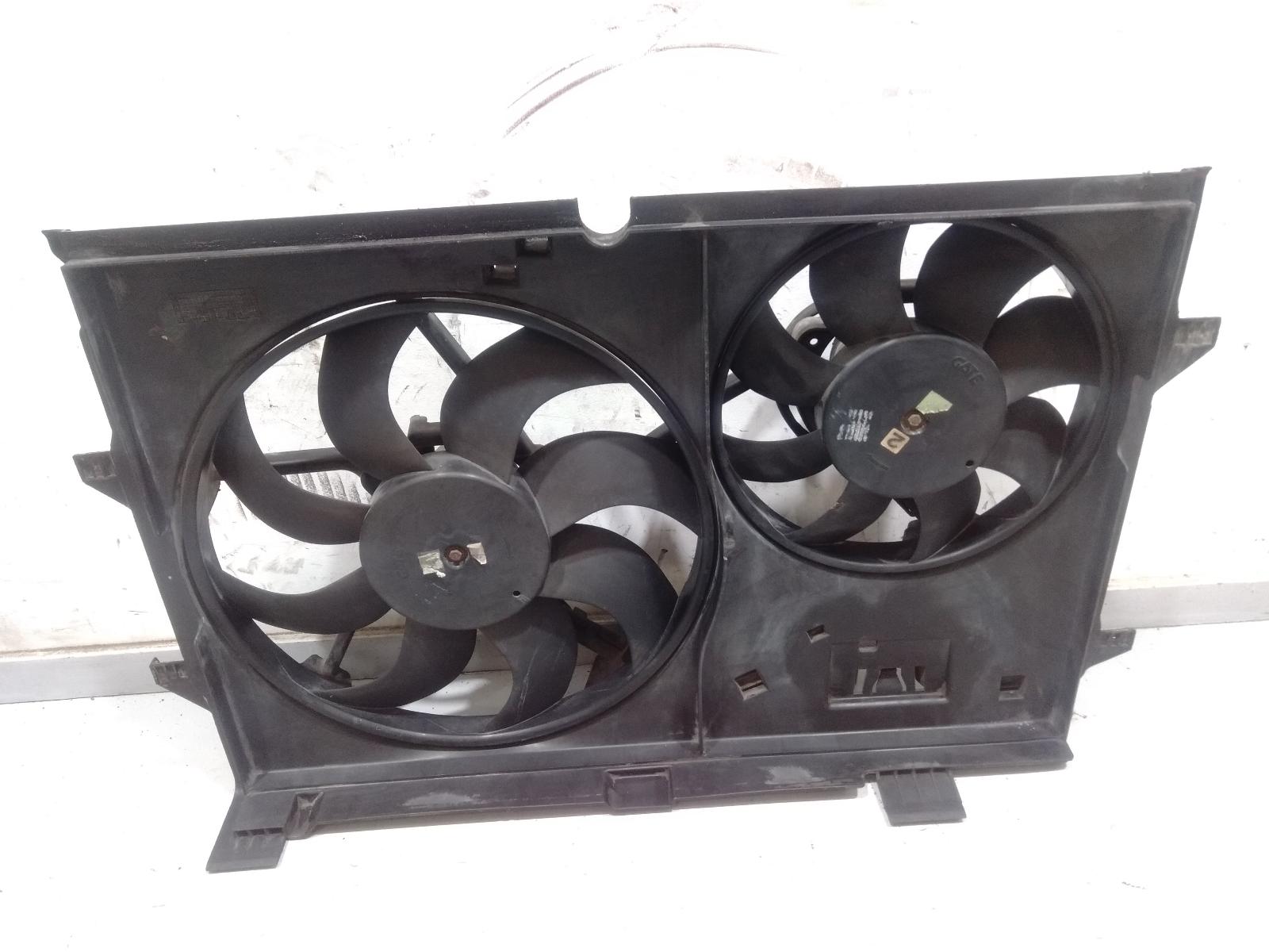 Fan