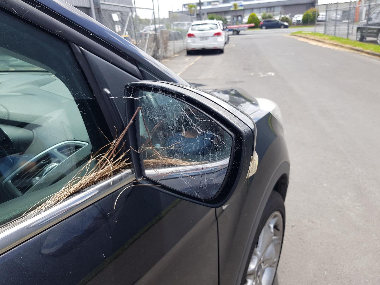 Ford Kuga - TF 2013-Present