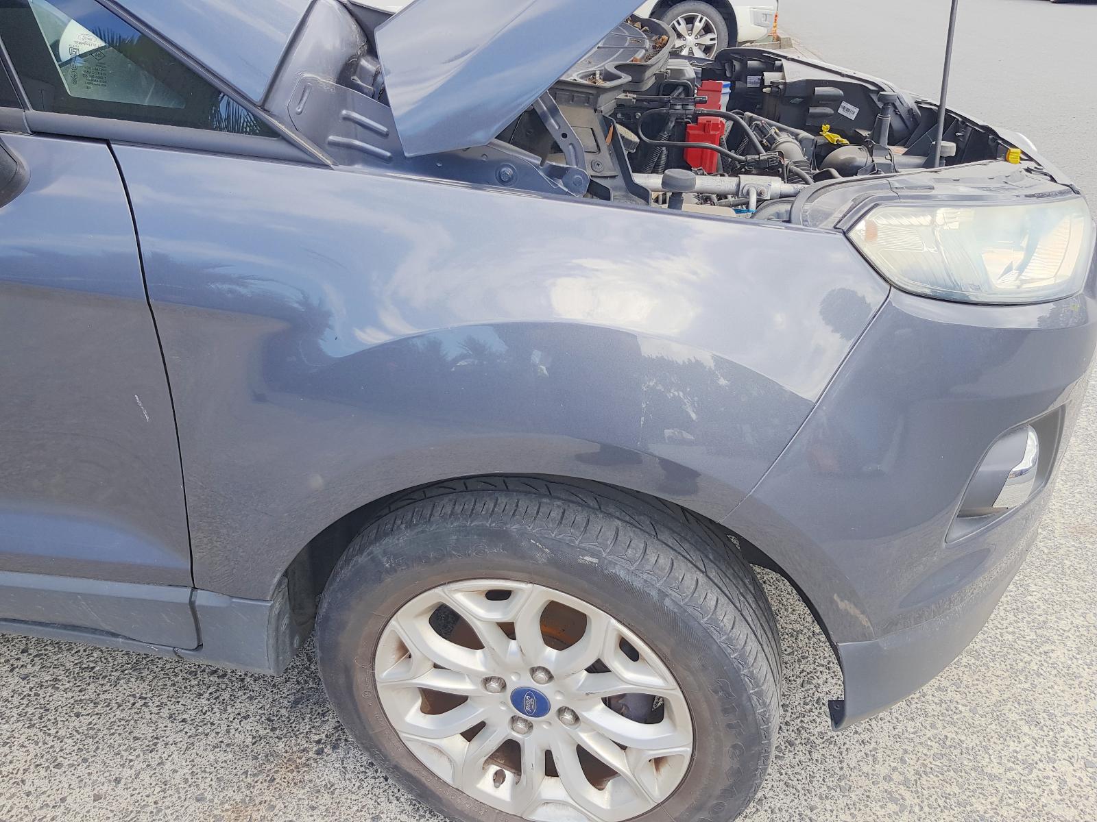 Ford EcoSport - BW 2013-present