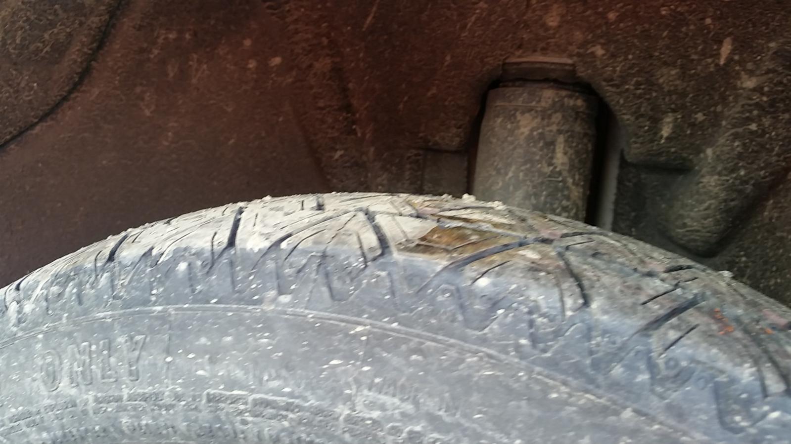 Holden Commodore - Other