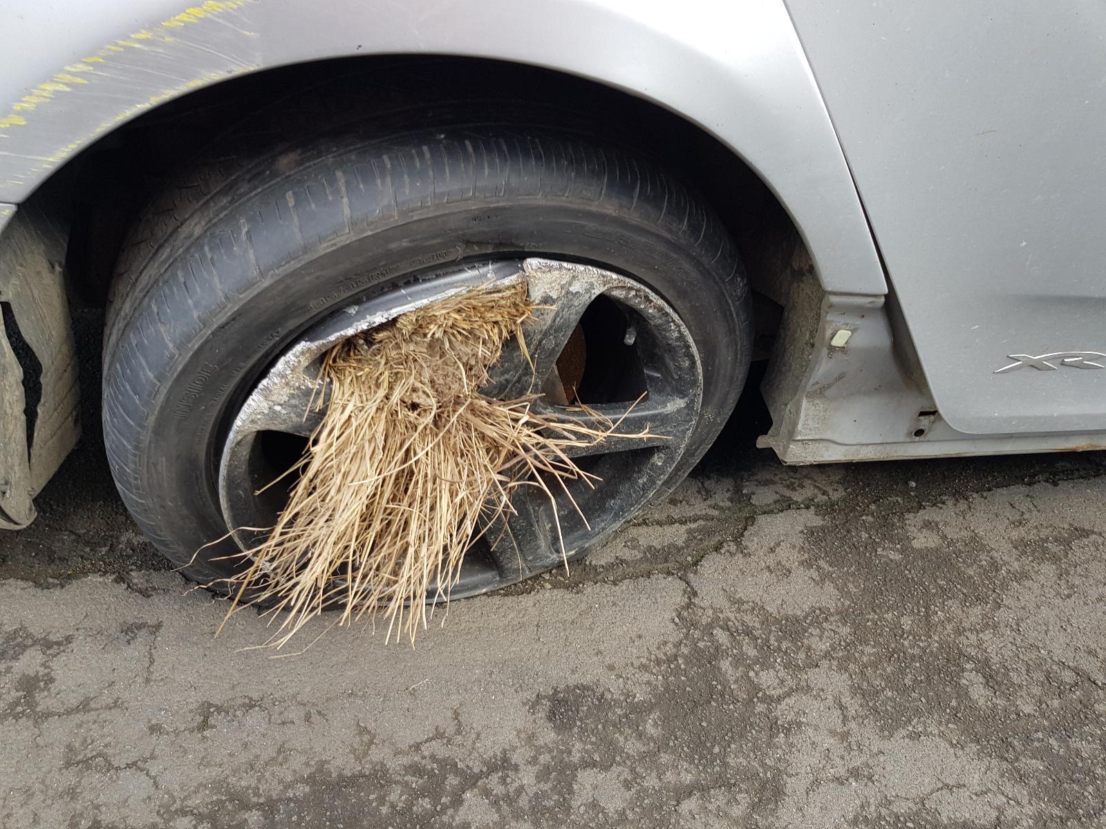 Ford Falcon - FG-FGX 2008-2016