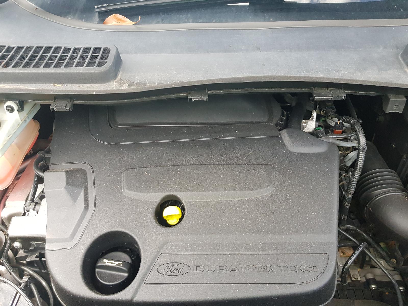 Ford Kuga - TF 2013-Present