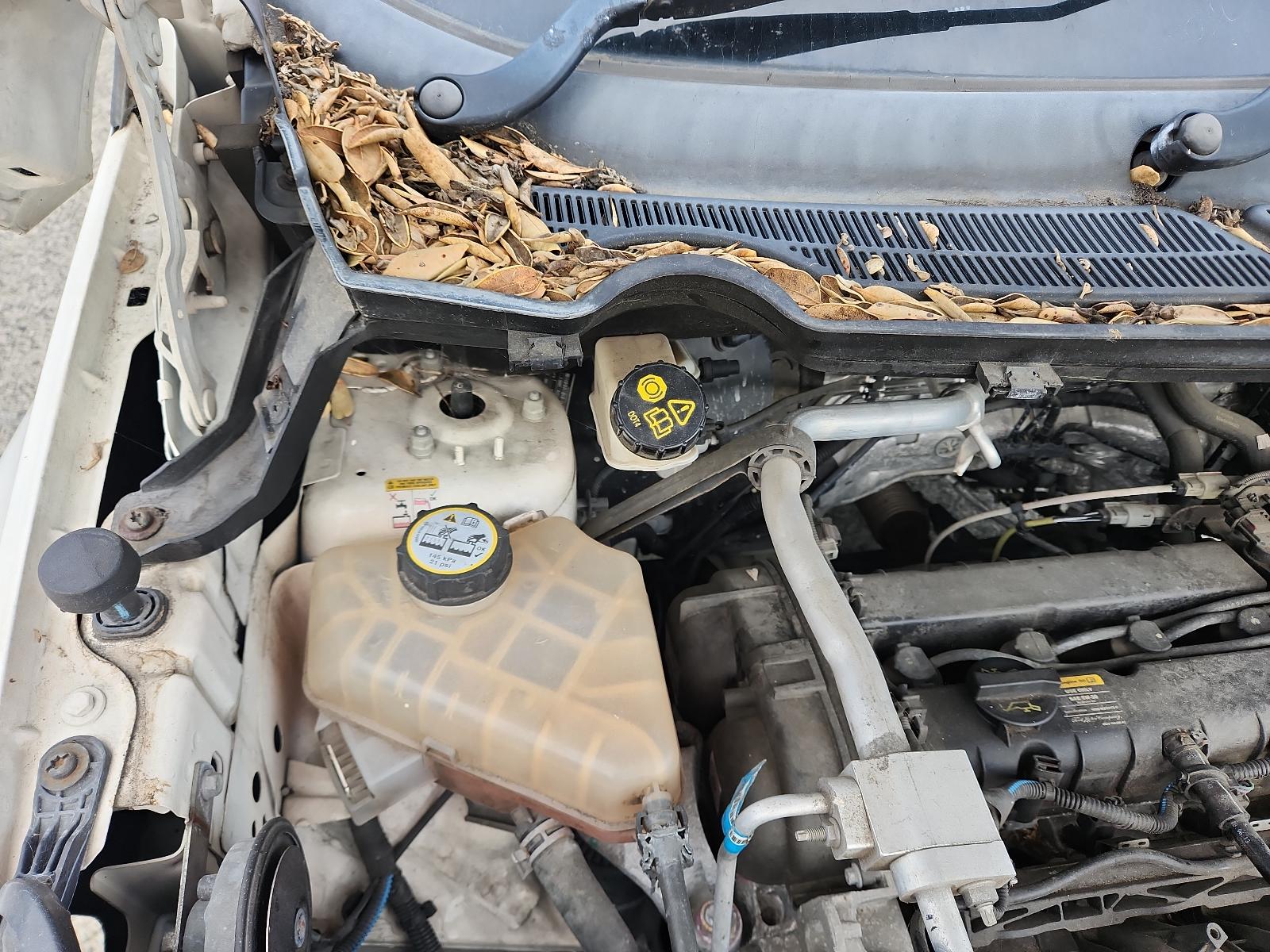 Ford EcoSport - BW 2013-present