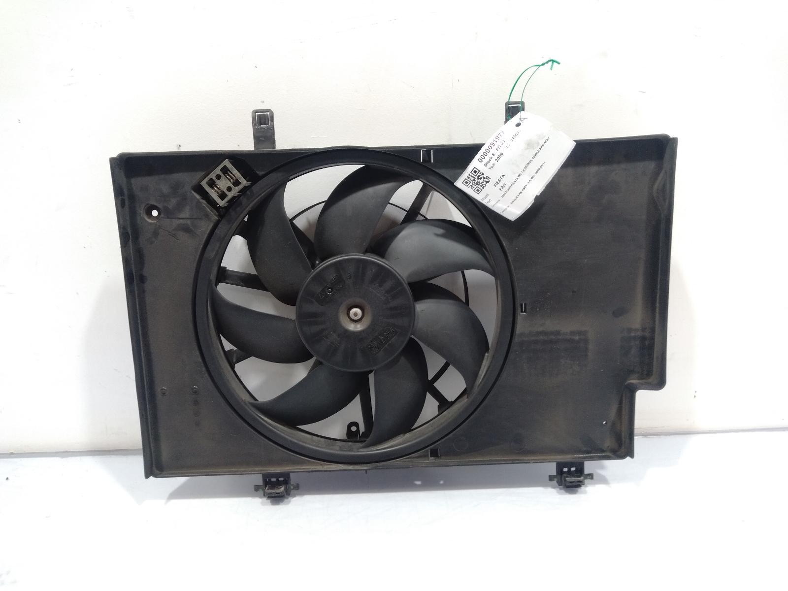 Fan