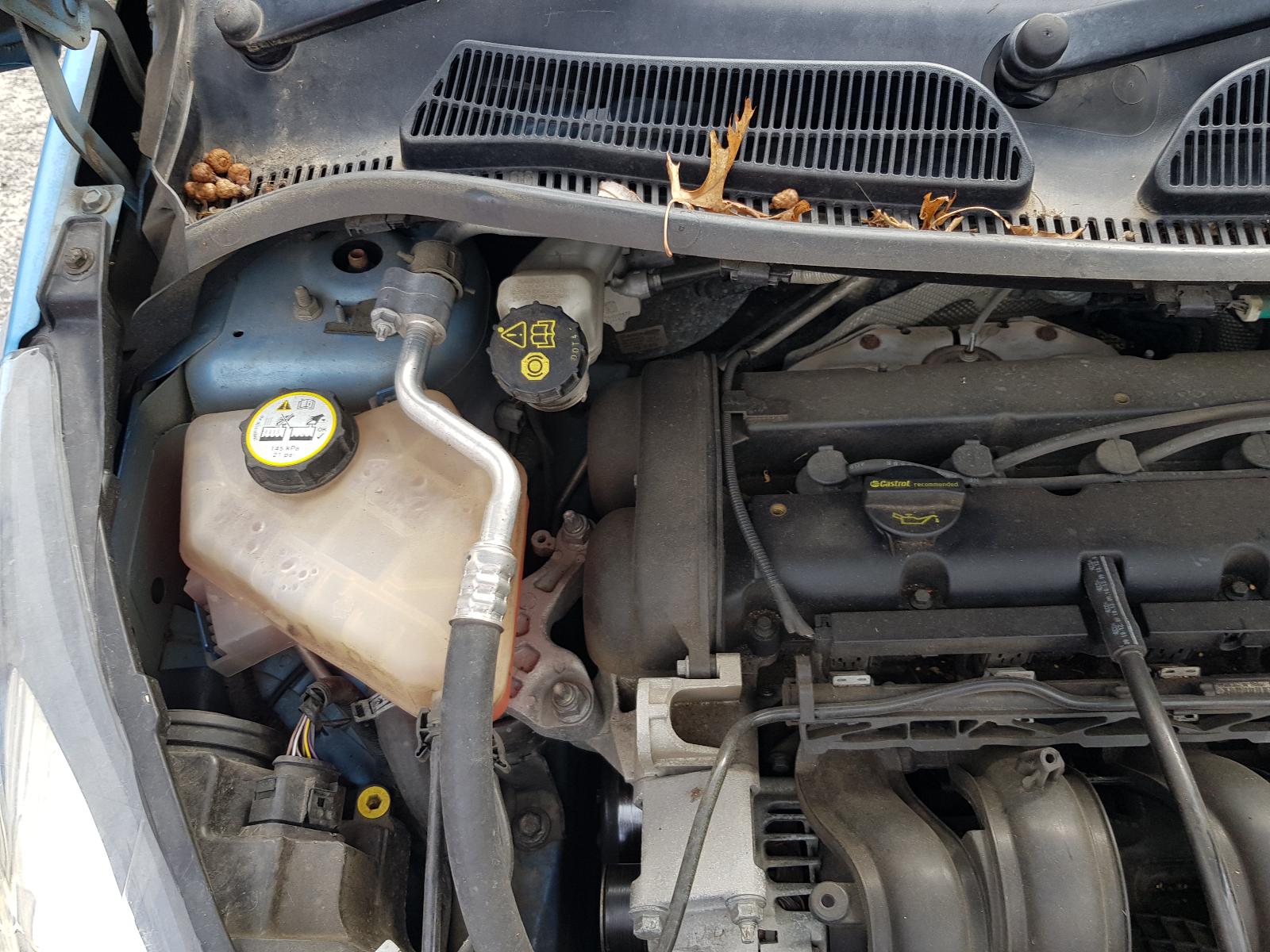 Ford Fiesta - MK VI 2008-Present