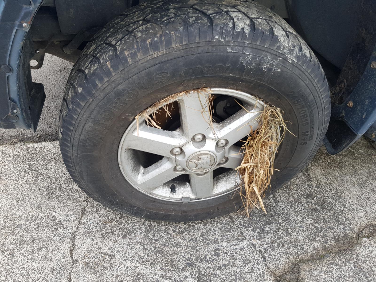 Holden Rodeo - RA 2003-2008