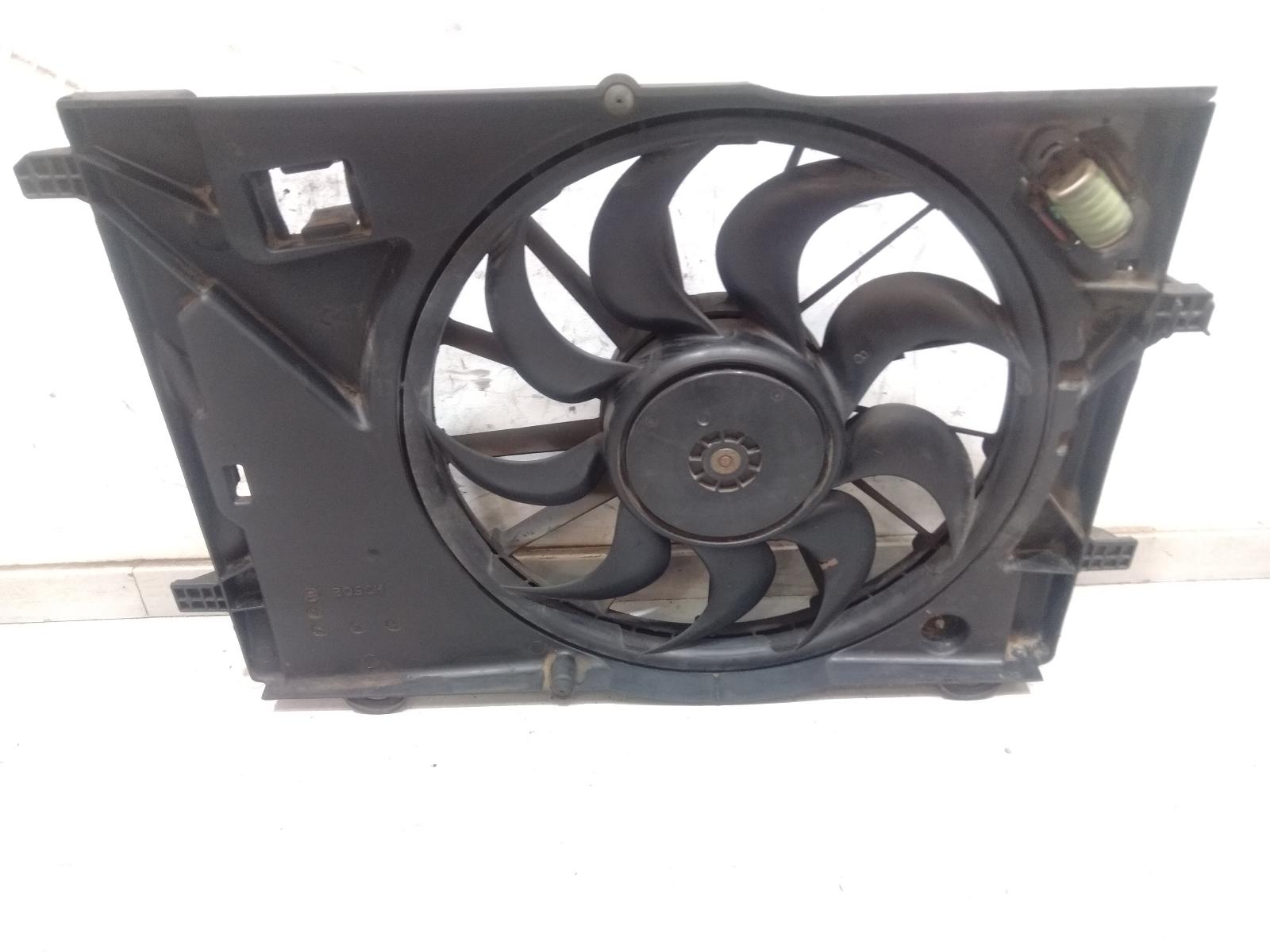 Fan