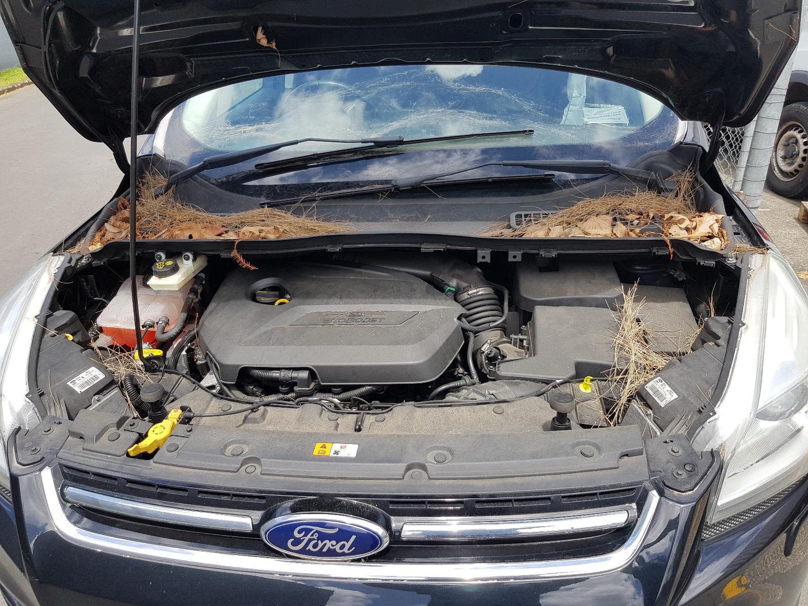 Ford Kuga - TF 2013-Present