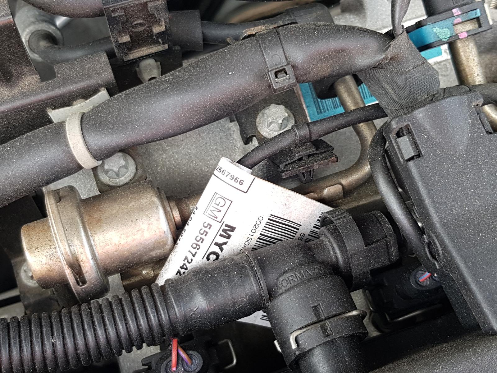 Holden Cruze - 2009-Present