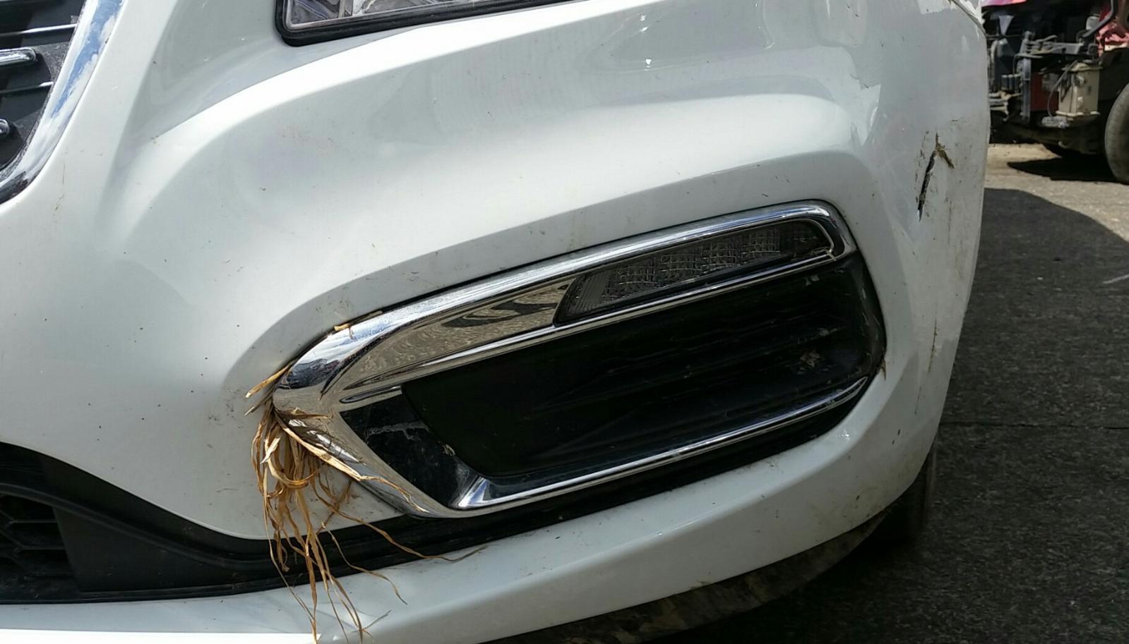 Holden Cruze - 2009-Present