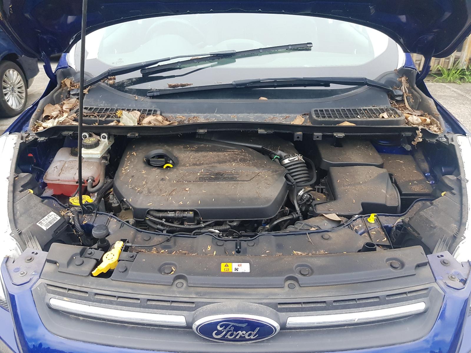 Ford Kuga - TF 2013-Present