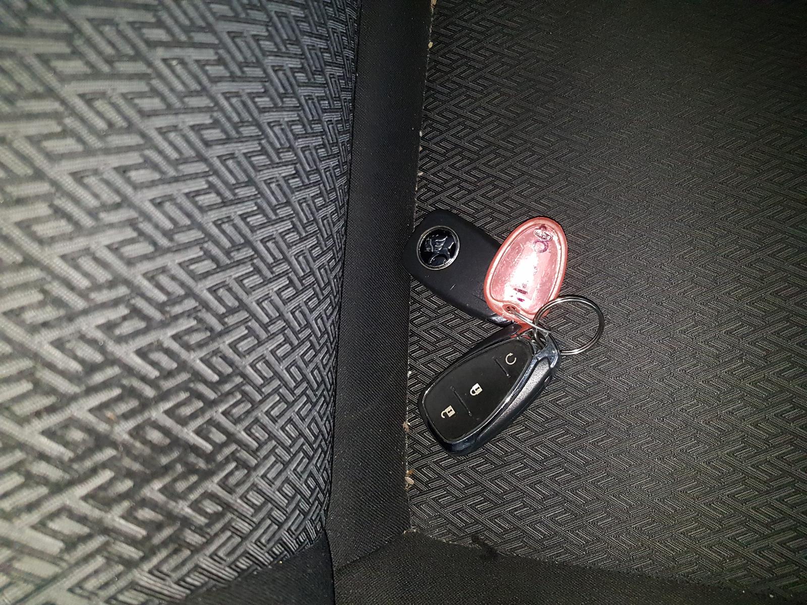 Holden Commodore - Other