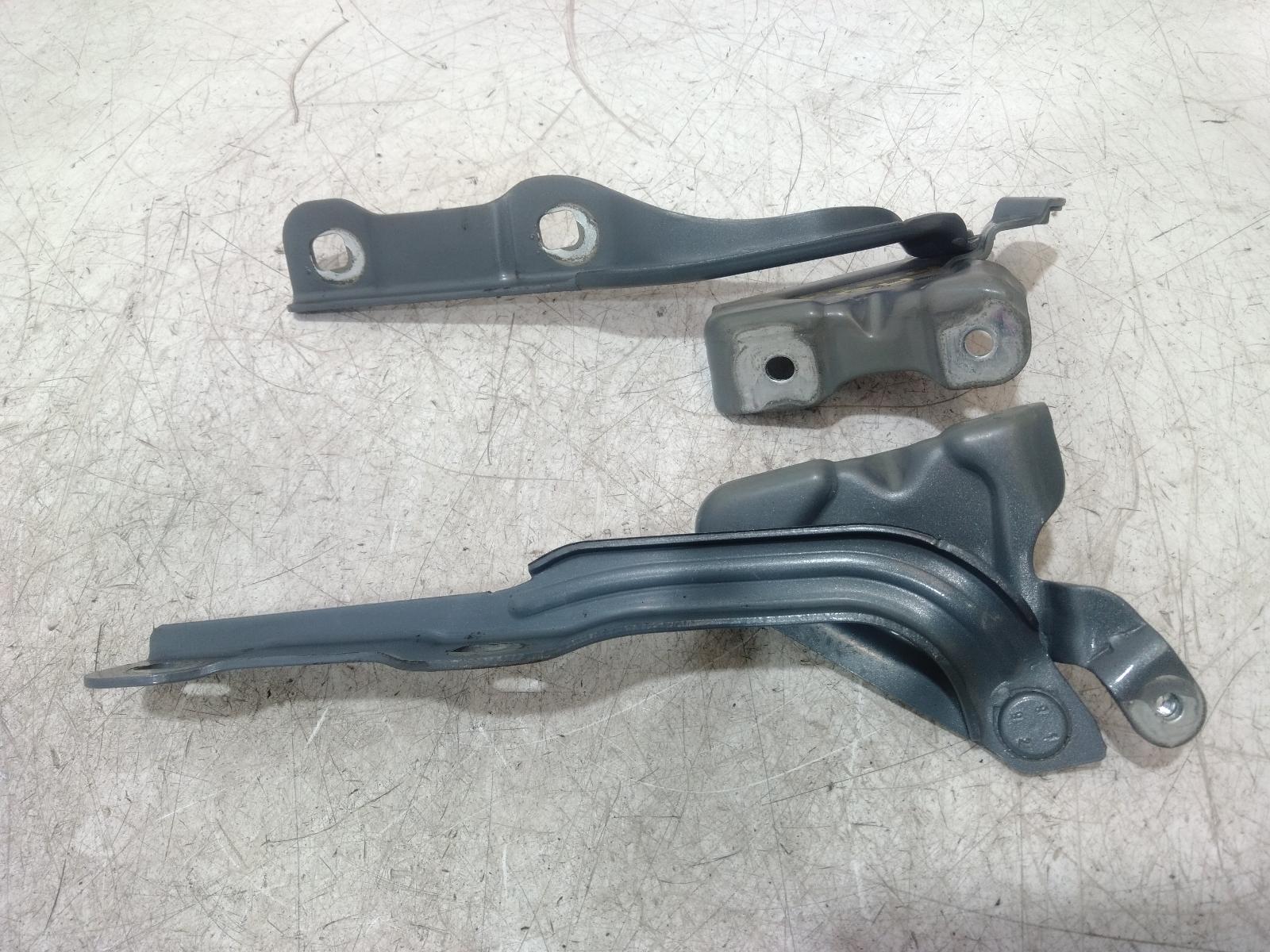 Bonnet Hinge Strut