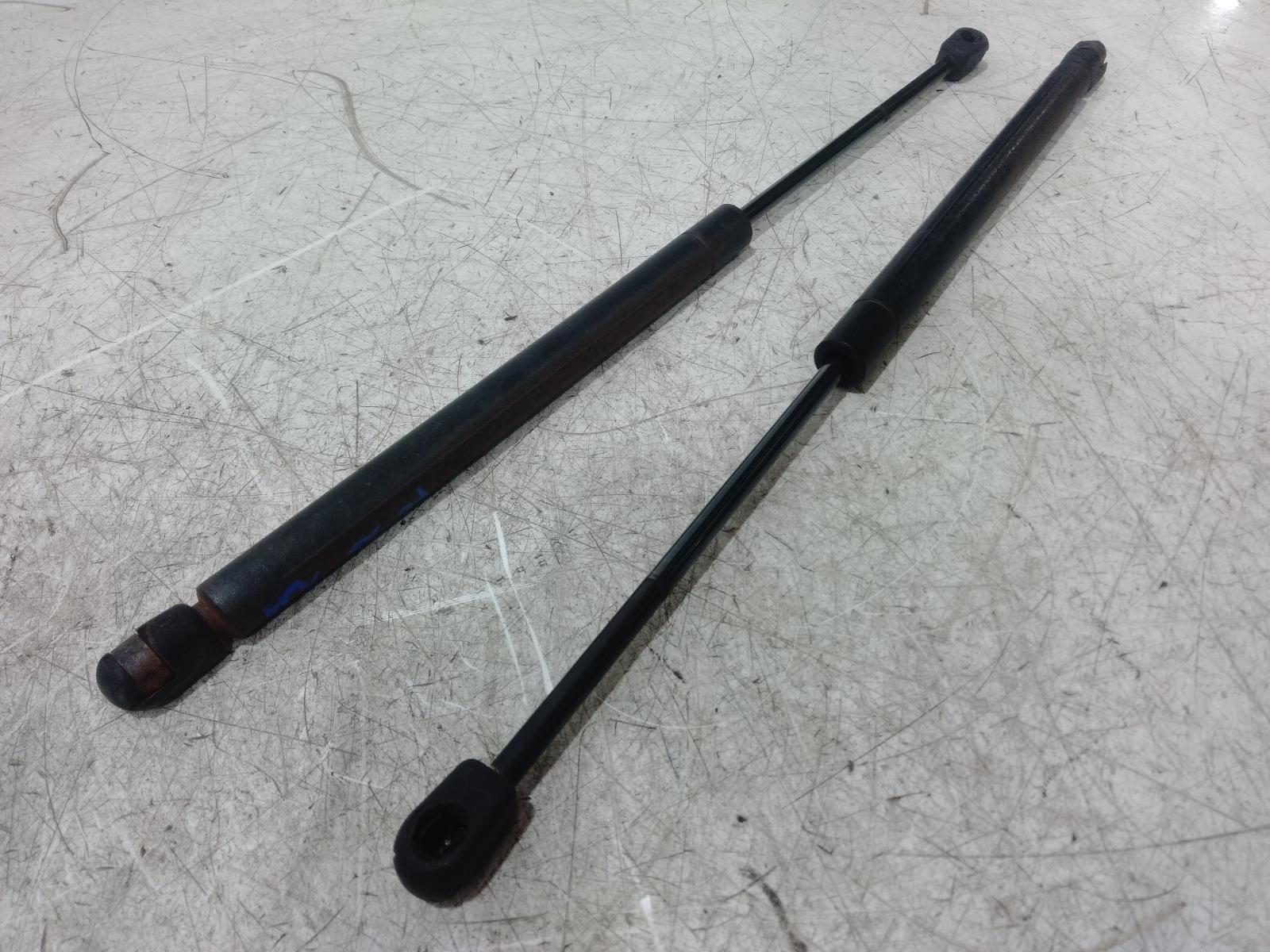 Hatch Strut