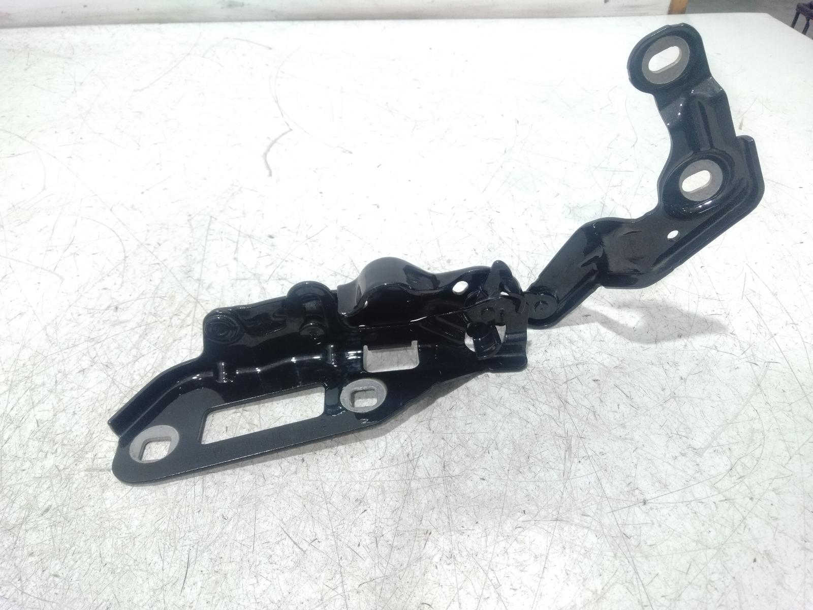 Bonnet_Hinge_Strut