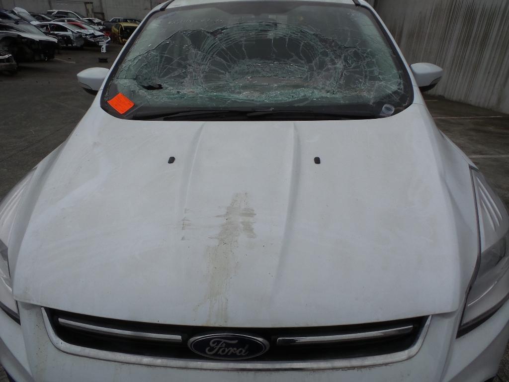 Ford Kuga - TF 2013-Present