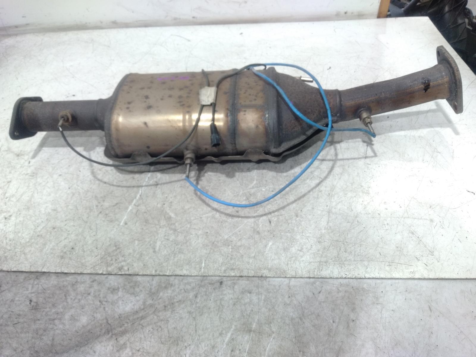Particulate Filter Dpf