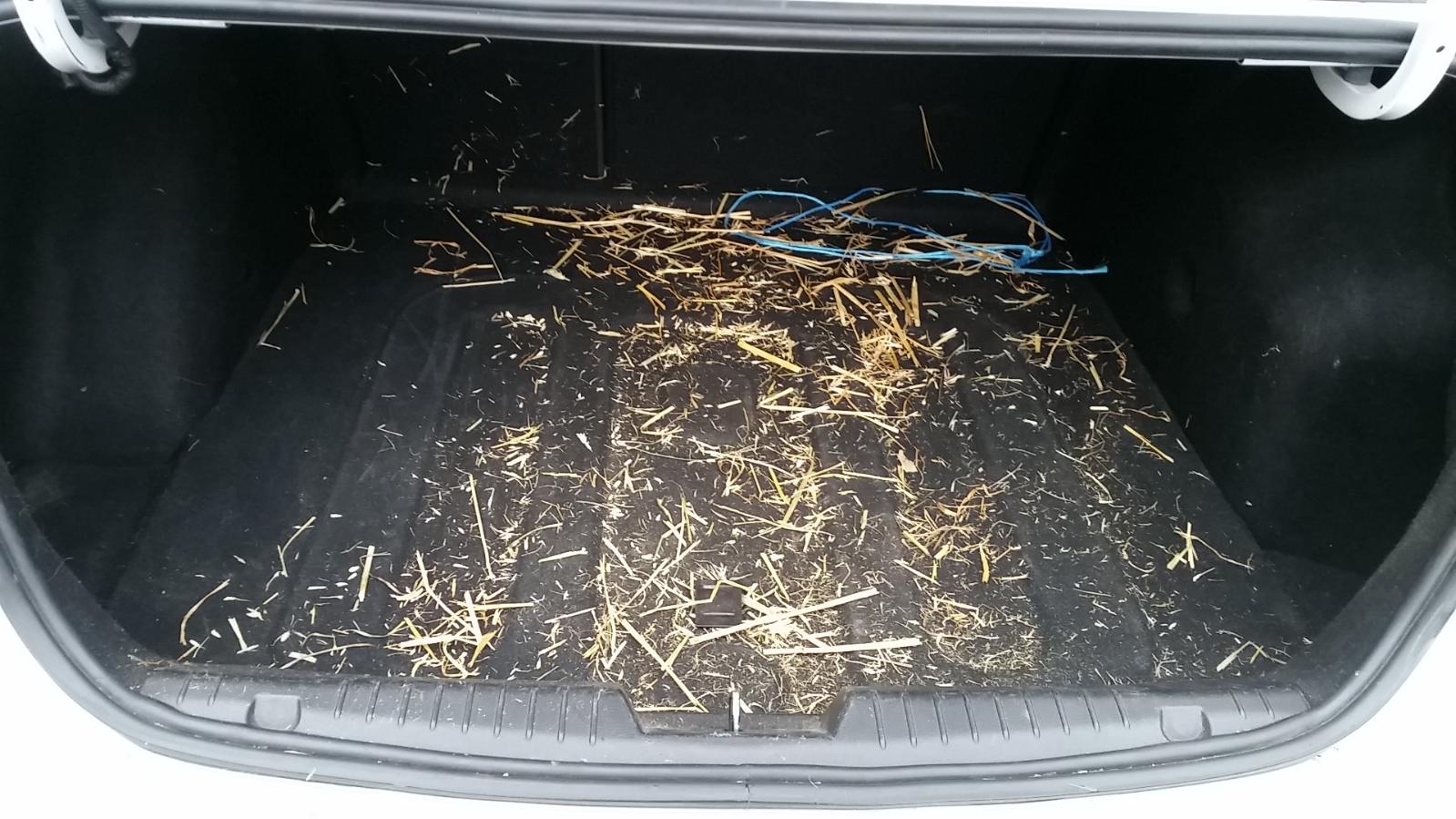 Holden Cruze - 2009-Present