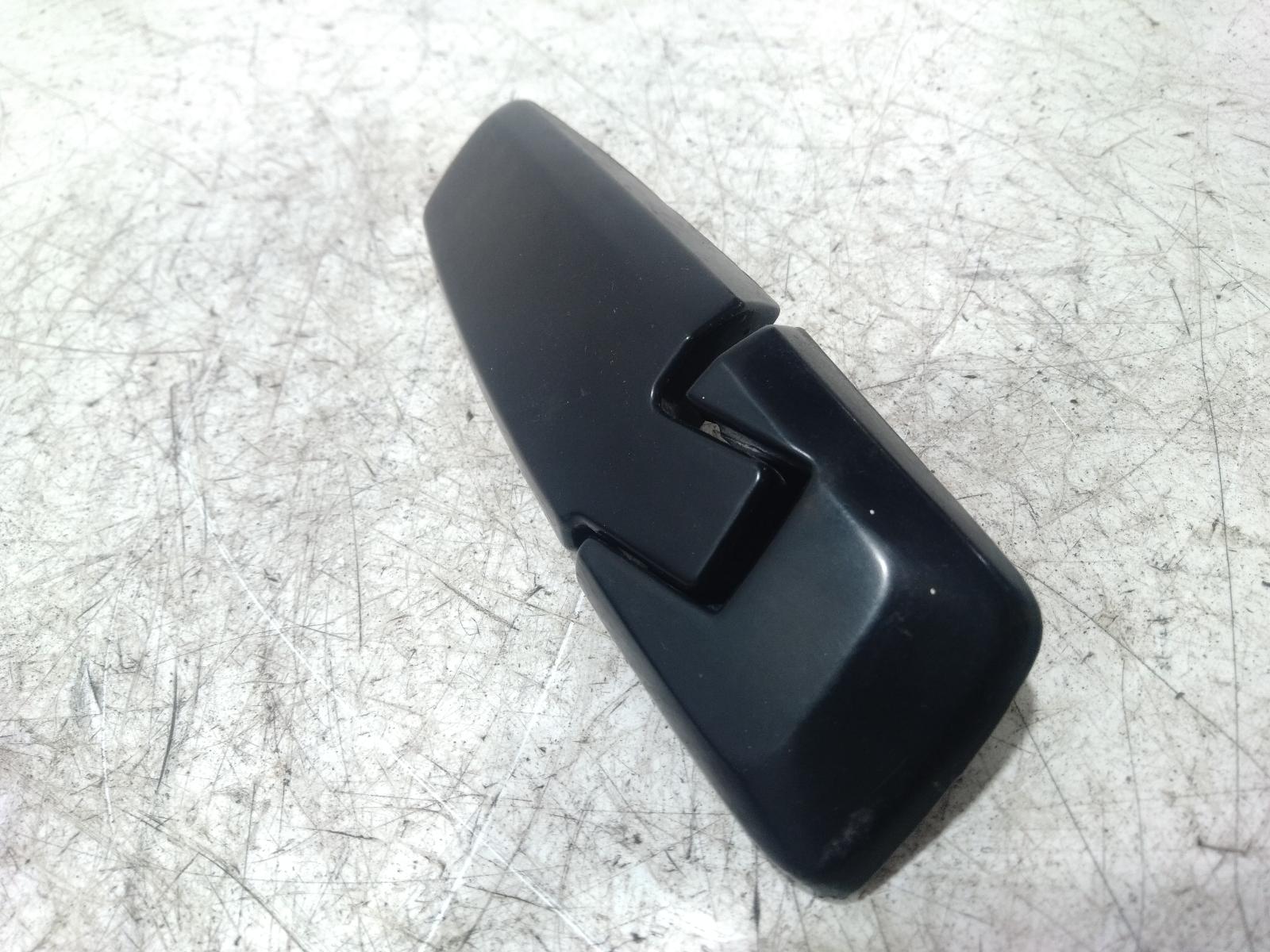 Bootlid_Tgate_Hinge