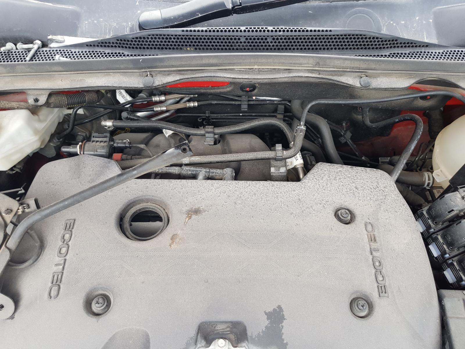 Holden Commodore - Other